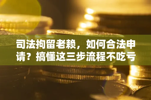 北京司法拘留老赖，如何合法申请？搞懂这三步流程不吃亏！
