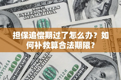 北京担保追偿期过了怎么办？如何补救算合法期限？