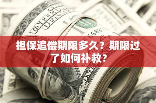北京担保追偿期限多久？期限过了如何补救？