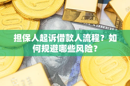 北京担保人起诉借款人流程？如何规避哪些风险？
