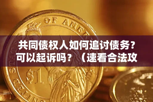 北京共同债权人如何追讨债务？可以起诉吗？（速看合法攻略）