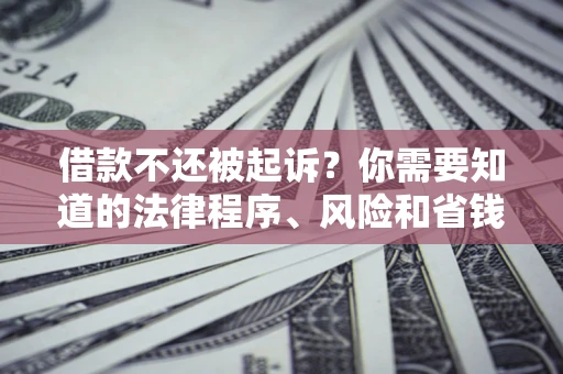 北京借款不还被起诉？你需要知道的法律程序、风险和省钱技巧