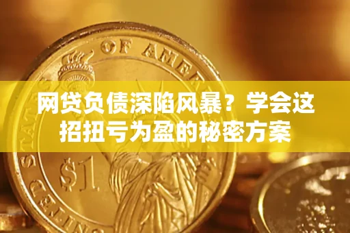 北京网贷负债深陷风暴？学会这招扭亏为盈的秘密方案